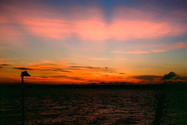 Zonsopkomst op de Amazone bij Almeirim, Brazilië 1999