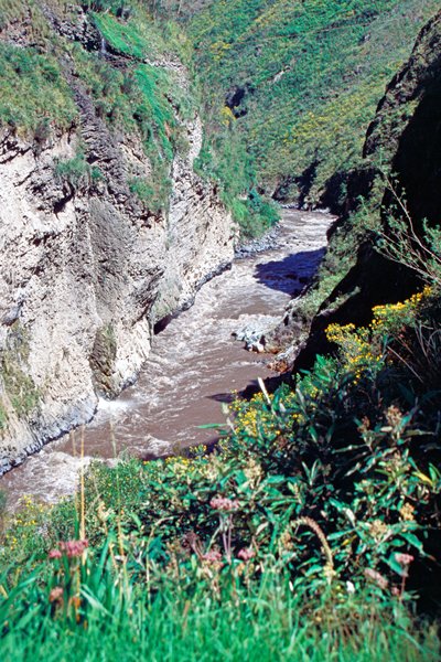 Kloof bij Baños, Ecuador 1999