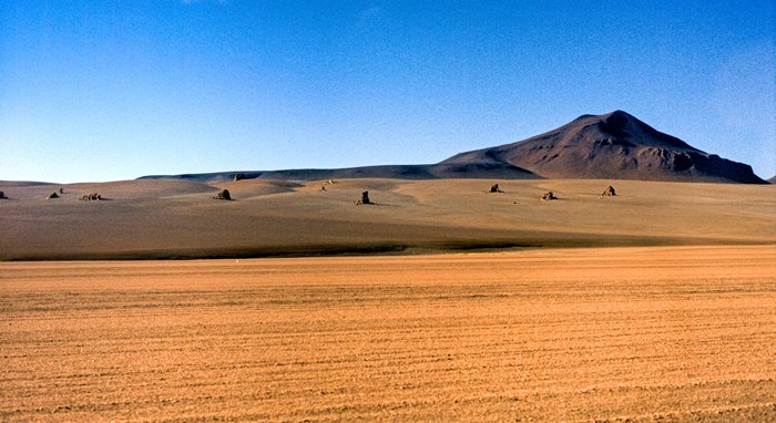 Woestijn in de grensstreek Bolivia-Chili, 1999