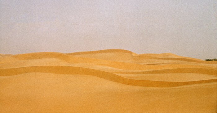 Golvende duinen in de Sahara, Mauritanië 1996