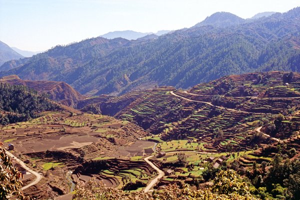Rijstterrassen onderweg naar Hetauda, Nepal 1997