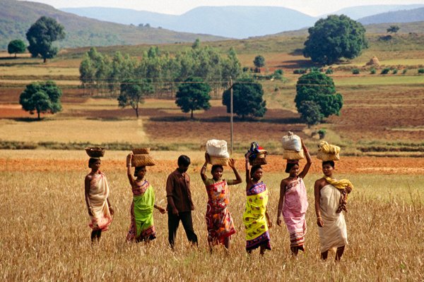 Vrouwen zijn onderweg naar een markt in Orissa
