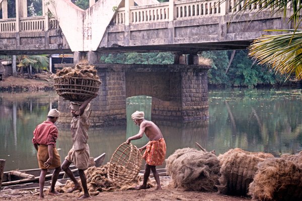 Aanvoer van kokosvezels bij de kokosfabriek in de backwaters bij Cochin