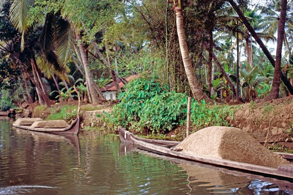 Bootjes met kokos in de backwaters van Cochin