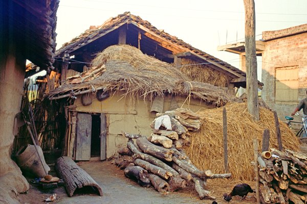 Een erfje met veel hooi en hout in het dorp Sauraha, Nepal